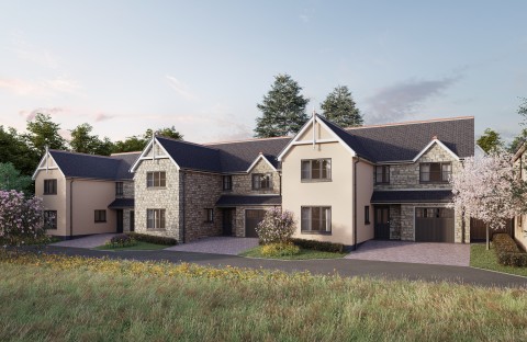 View Full Details for Lifton, Devon